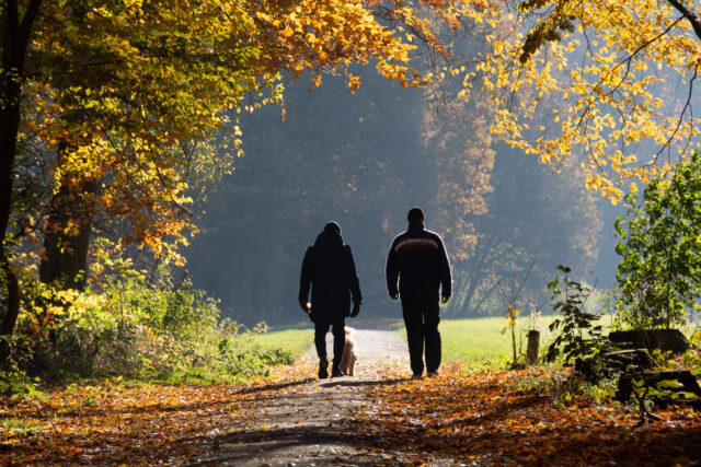 Promenader varje tisdagsförmiddag i höst!