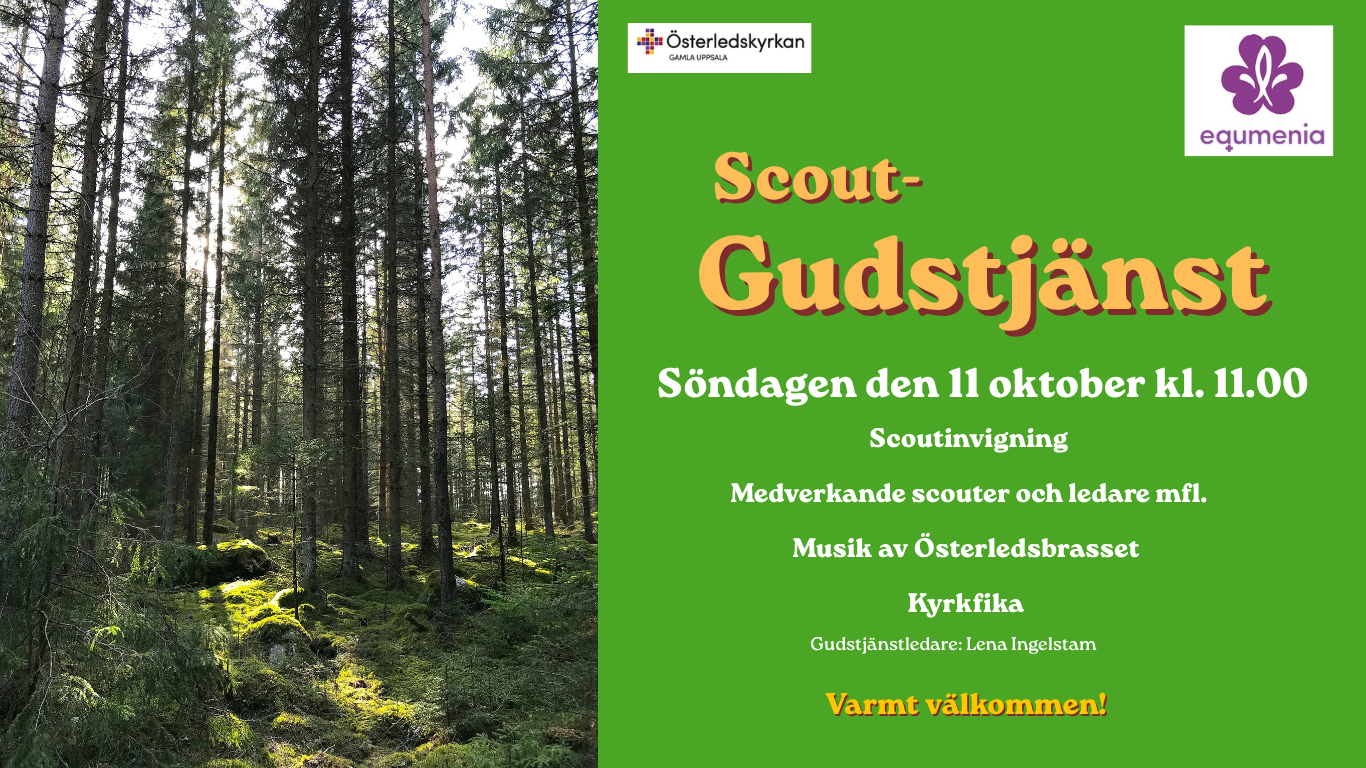 Gudstjänst söndag kl 11 – Scoutinvigning